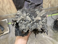 a person holding up a piece of dirt