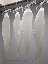 four white feathers hanging on a drying rack
