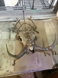 a bull skull with horns and thorns on a table